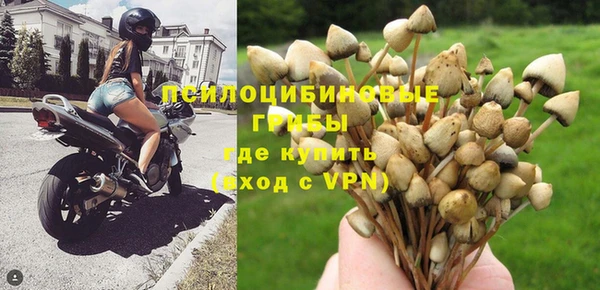 стафф Абаза