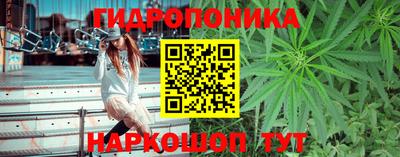 эйфоретик Обнинск