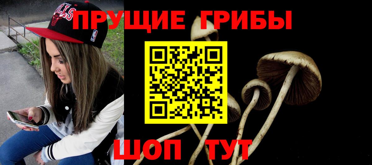 Псилоцибиновые грибы мицелий Тавда